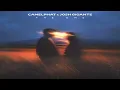 CamelPhat, Josh Gigante - The One (Extended Mix)