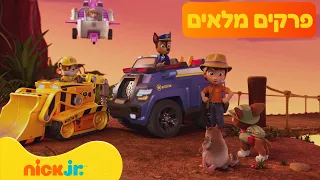 מפרץ ההרפתקאות 🐾: פרקים מלאים ברצף! | 161 דקות | ניק ג'וניור