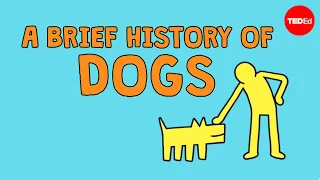 a brief history of dogs david ian howe