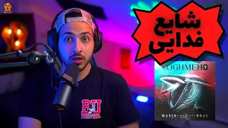                                                    واکنش به  لقمه   دیس ملتفت و شایع  مسین و بی بال دندنها