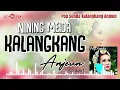 Download Lagu Nining Meida - Kalangkang Anjeun ( Official Audio )