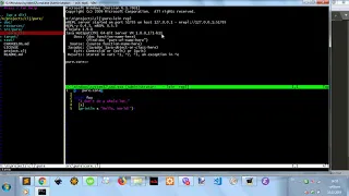 fireplace automatic connection to clojure repl