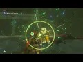 The rarest Lynel drop I ve ever gotten