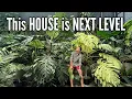 Download Lagu 80% Greenhouse, 20% Living Area = 100% My Dream House