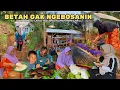 MENGINAP KERUMAH MIMIH | NGUMPUL DISAUNG MAKAN-MAKAN BARENG KELUARGA