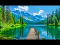 Download Lagu Nomierinoša mūzika nerviem - Dziedinoša mūzika sirdij un asinsvadiem, relaksācija, mūzika dvēselei