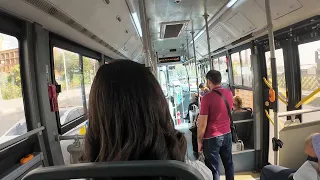                           دندنها