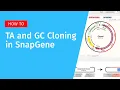 Download Lagu TA and GC Cloning with SnapGene