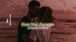 Download Hum Mar Jayenge - (Slowed + Reverb) Lofi-Remix | Arijit Singh MP3