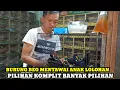Lagu BEO ANAK!!SIDAK HARGA BURUNG DIKIOS KANG DUL PASAR BURUNG PRAMUKA TERBARU HARI INI