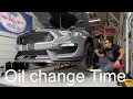 Oil change for my Shelby GT350 5 2L VooDoo