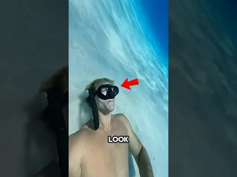 Biggest Bubble Ring in the World