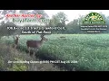 Crawford County IL Land Auction - 3 Tracts Cropland Wooded
