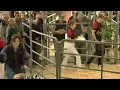 Download Lagu INGLEVIEW PEDIGREE HOLSTEIN SALE, R\u0026E Butterfield Retirement sale, 19th August 2025
