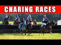 Charing point-to-point horse races 13 December 2025
