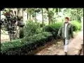 Download Lagu Sang Murabbi (Mencari semangat dakwah yang hilang) full movie