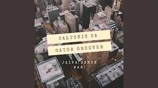jaiva feat gator groover 