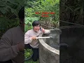Download Lagu Nanti Kita Beli Telur Gulung #shorts #subscribe #funny #subscribe