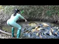 Lagu Full Video: The Young Girl's Excellent Fishing Skills on The River and Lakes, Caught a Lot of Fish