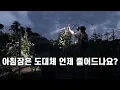 Download Lagu SUB 단순로그311 in Jeju 아침 잠이 많아서 야밤에 일하는 저녁형 농부의 텃밭 vlog