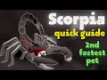Scorpia Quick Solo Duo Guide OSRS