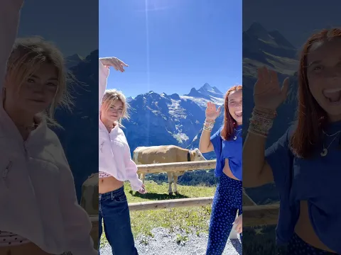 we made a new bestie🐄🏔️@lisi.shopsyoutube