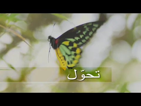 Download MP3 METAMORPHOSIS - Arabic