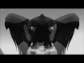 Robot Koch - Hawk (Snakes Of Russia Rework)