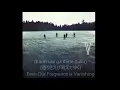 安全地帯 - Friend (English Lyrics + Romaji)