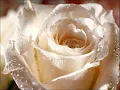 LAGRIMAS DE CRISTAL.wmv   HERMANOS CARRION
