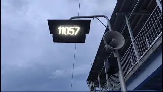                                                        دندنها