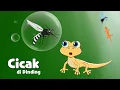 Download Lagu CICAK Di Dinding Lagu anak anak | Lagu Anak-anak | Lagu Cicak cicak di dinding | Cicak lucu