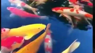 حالات واتس اب دينية مع اجمل المناظر الطبيعية 