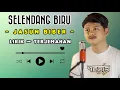 Download Lagu JASUN BIBER - SELENDANG BIRU || LIRIK DAN TERJEMAHAN