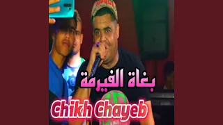 بغاة الفيرمة 