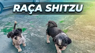EU NÃO ESPERAVA POR ISSO!(Com Kadu e Pankeka)