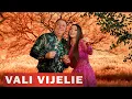Download Lagu Vali Vijelie ❌ Georgiana Lobont - Dragoste si Fericire (Hituri Noi) 2024