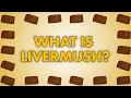 What is Livermush American Legion World Series players try Cleveland County delicacy