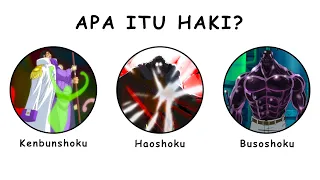 cuma 6 menit langsung paham haki di one piece 