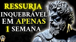 7 Hábitos para Mudar Tudo em 1 Semana Rotina Estoica