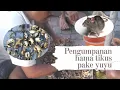 Download Lagu Pengendalian Hama Tikus..Pake Umpan Yuyu
