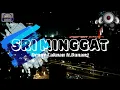 Lagu DENNY CAKNAN FT.DANANG Sri Minggat (lyrics video)