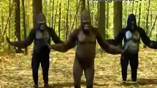 قروده بترقص عل مهرجان توكتوك زعبولا هتمووووت من الضحك ههههههههه 