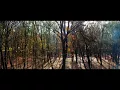Download Lagu Drone - Het Bos - A Scout's Life