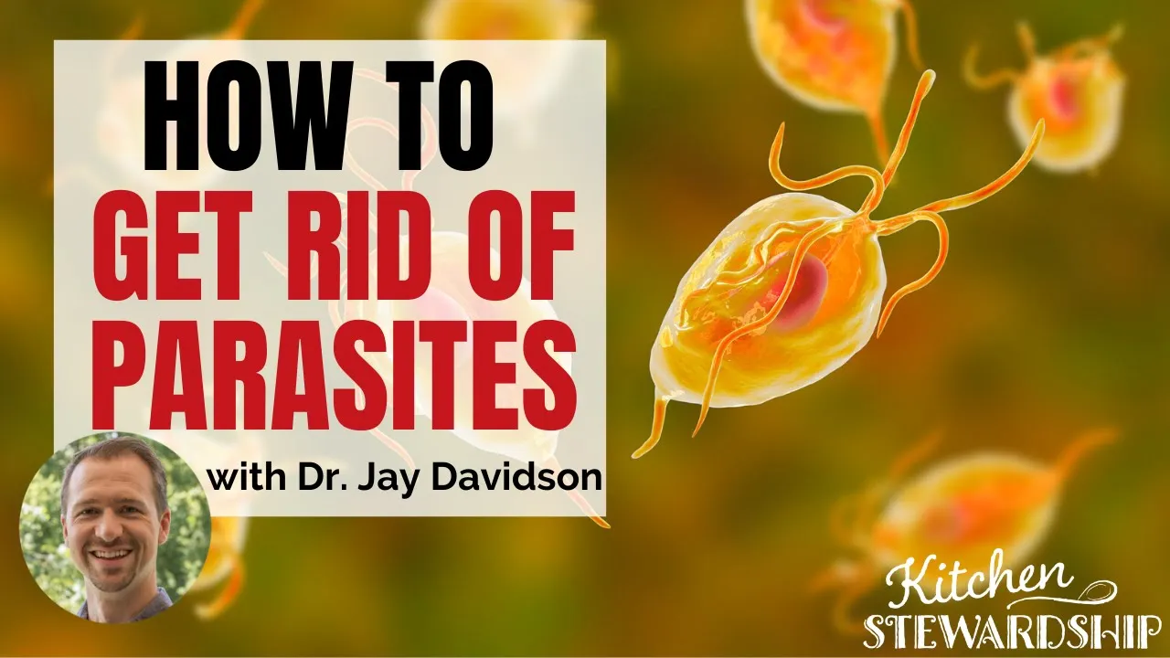 How to Get Rid of Parasites and Keep them Away with Dr Jay Davidson