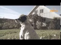 DSPCA