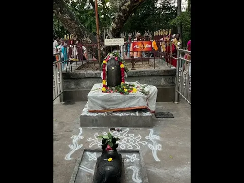 சிவனும் பார்வதியும் திருமணக் கோலத்தில் காட்சியளிக்கும் திருக்கோயில் - Smashing TV