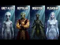 Every Alien Species Explained Grey Aliens Reptilians Insectoids Nordics