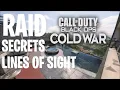 Raid Secrets and Lines of Sight - Black Ops Cold War