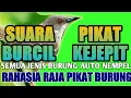 Suara Pikat 2022/2023 Burung Kecil KEJEPIT/Ternyata Inilah RAHASIA RAJA PIKAT BURUNG.